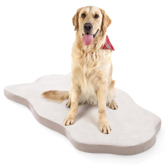 Large Dog Bed with Memory Foam Support and Removable Cover