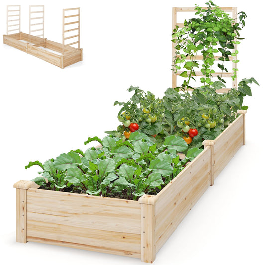 Raised Garden Bed with Planter Box and Trellis