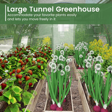 400 x 300 x 200 cm Outdoor Walk-in Tunnel Greenhouse 8 Roll-up Windows