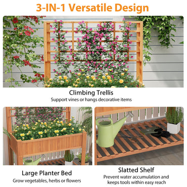 2 Tier Raised Garden Bed with Trellis for Climbing Plants Vines Fruit