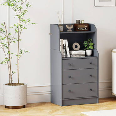 Modern Chest of Drawers Dresser with Shelves