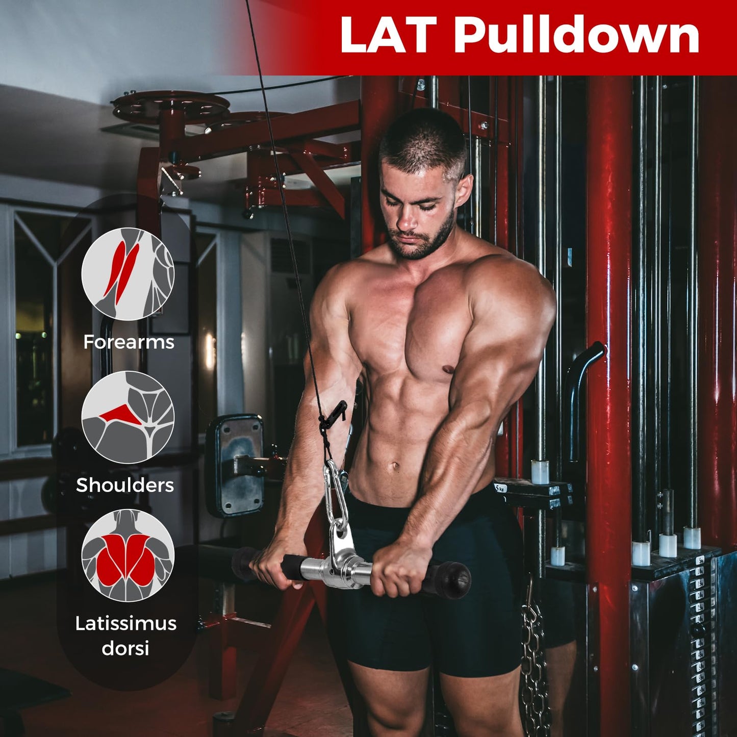 Cable Machine Attachment Set LAT Pulldown Attachments