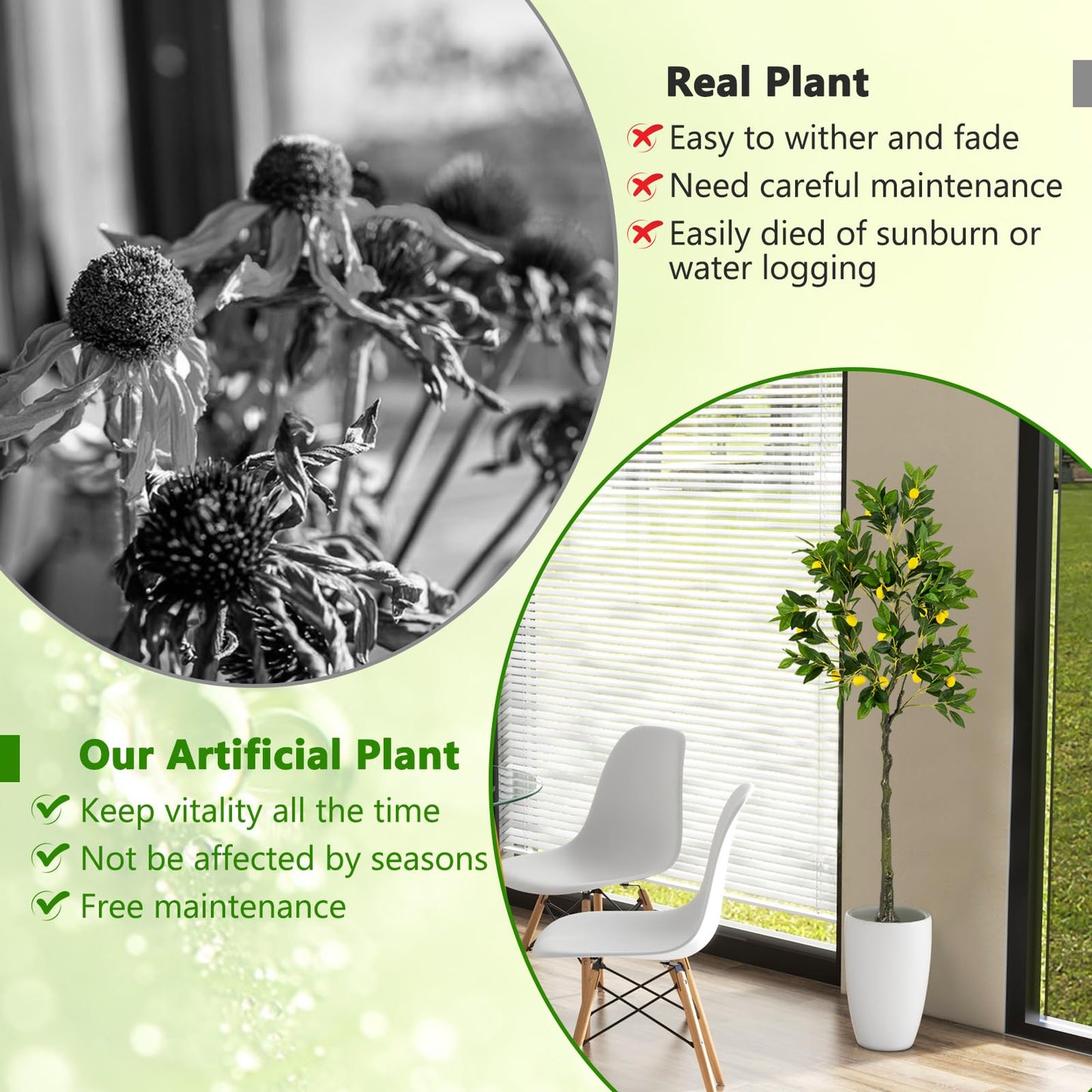 160cm Tall Fake Lemon Plant with Lemon Fruits and Cement Pot