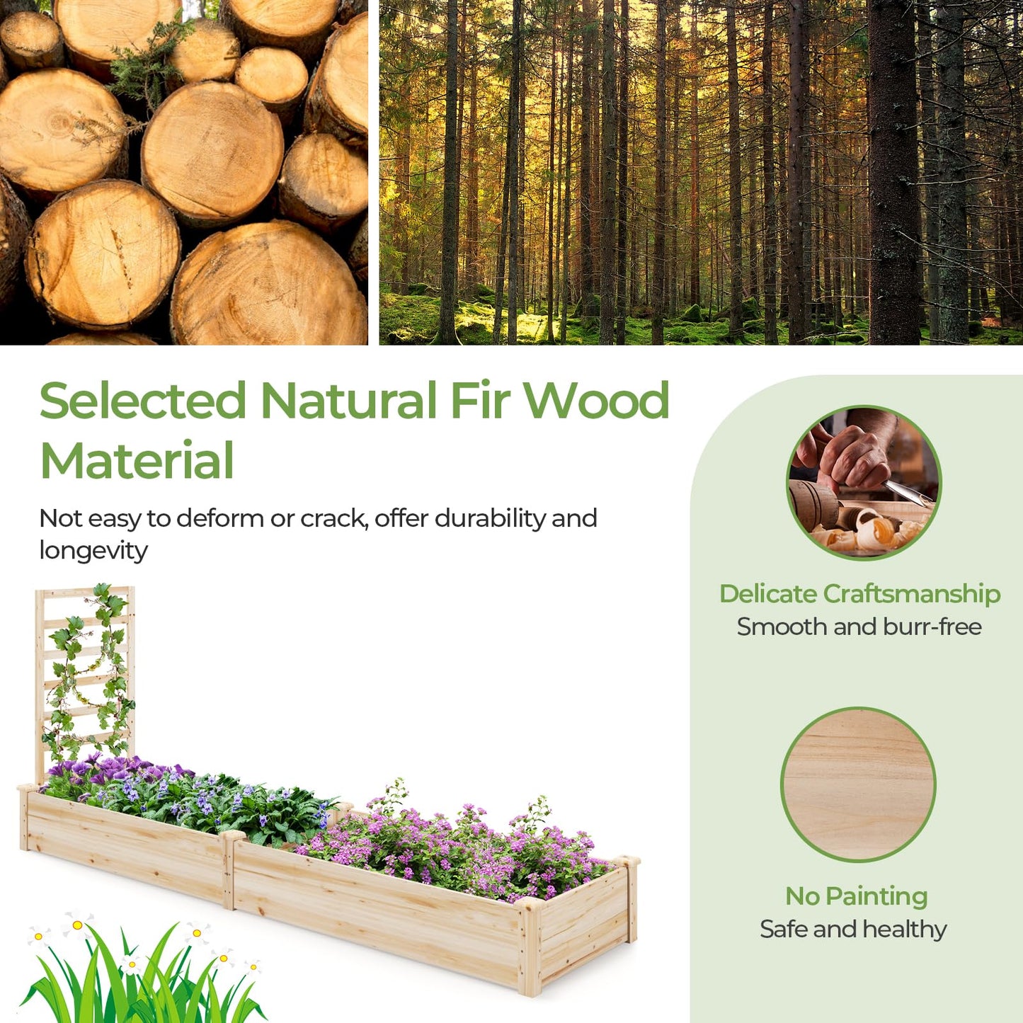 Raised Garden Bed with Planter Box and Trellis