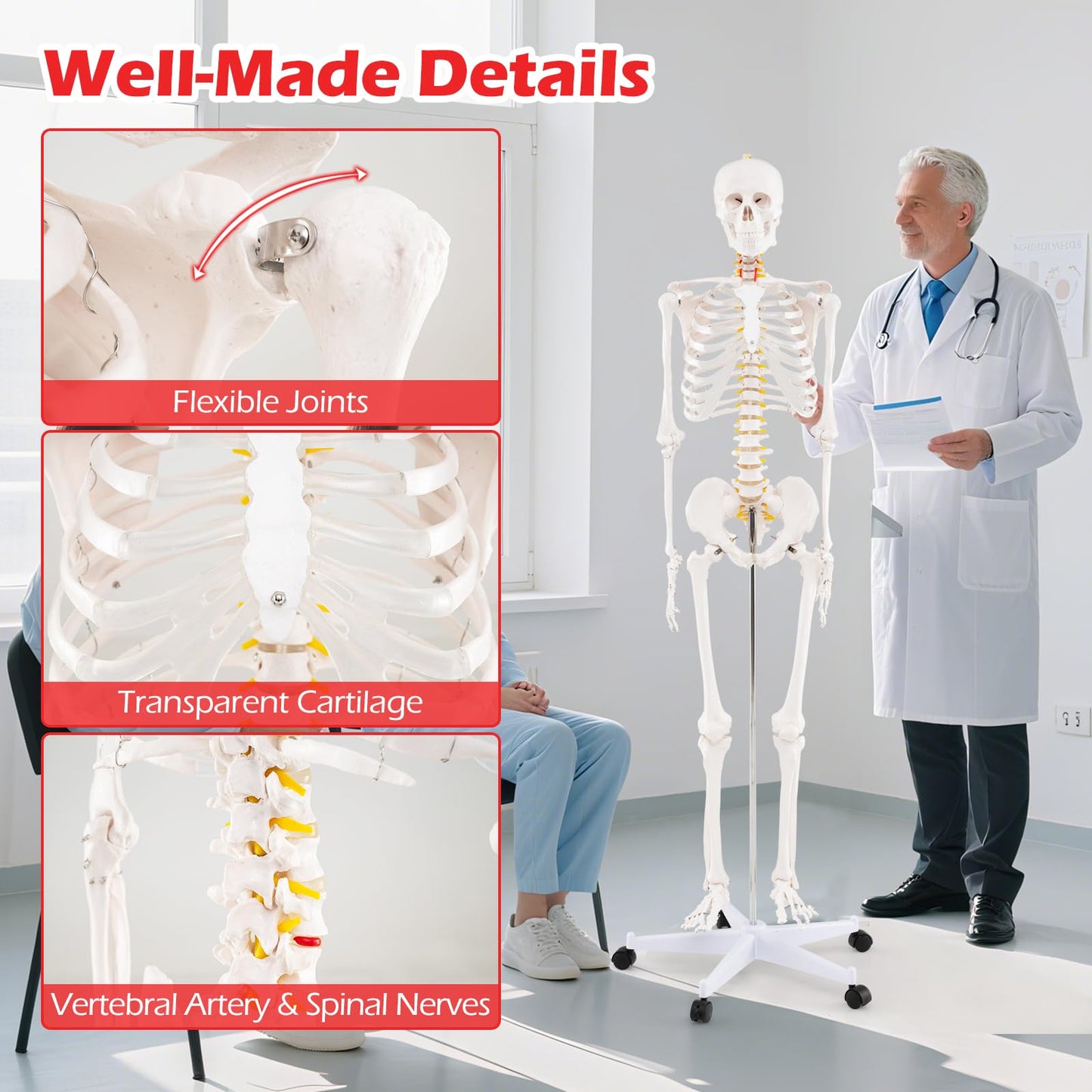 180cm Life Size Human Skeleton Model with Rolling Stand