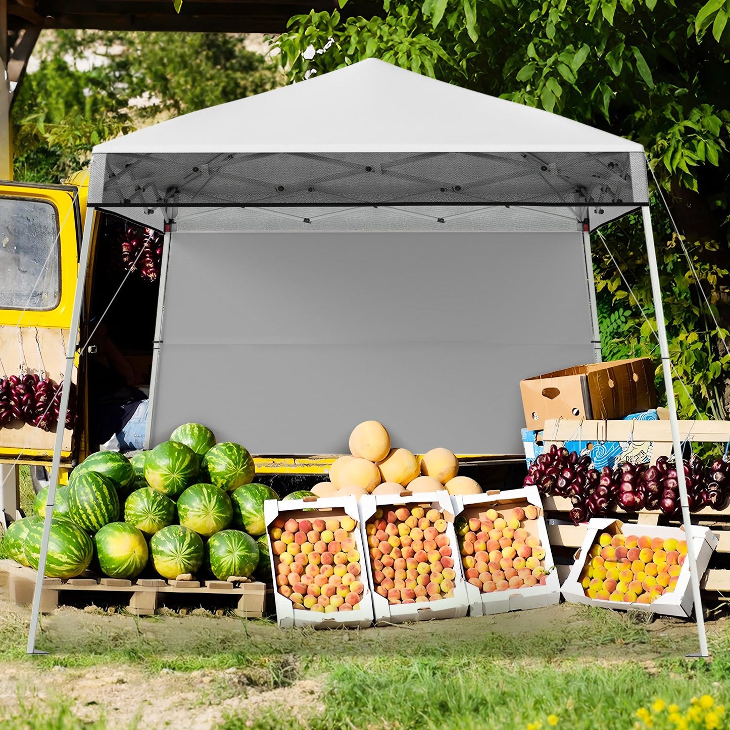 Pop up Canopy Tent with 1 Sidewall Outdoor Easy Setup Folding Gazebo Shelter