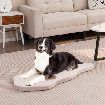 Large Dog Bed with Memory Foam Support and Removable Cover