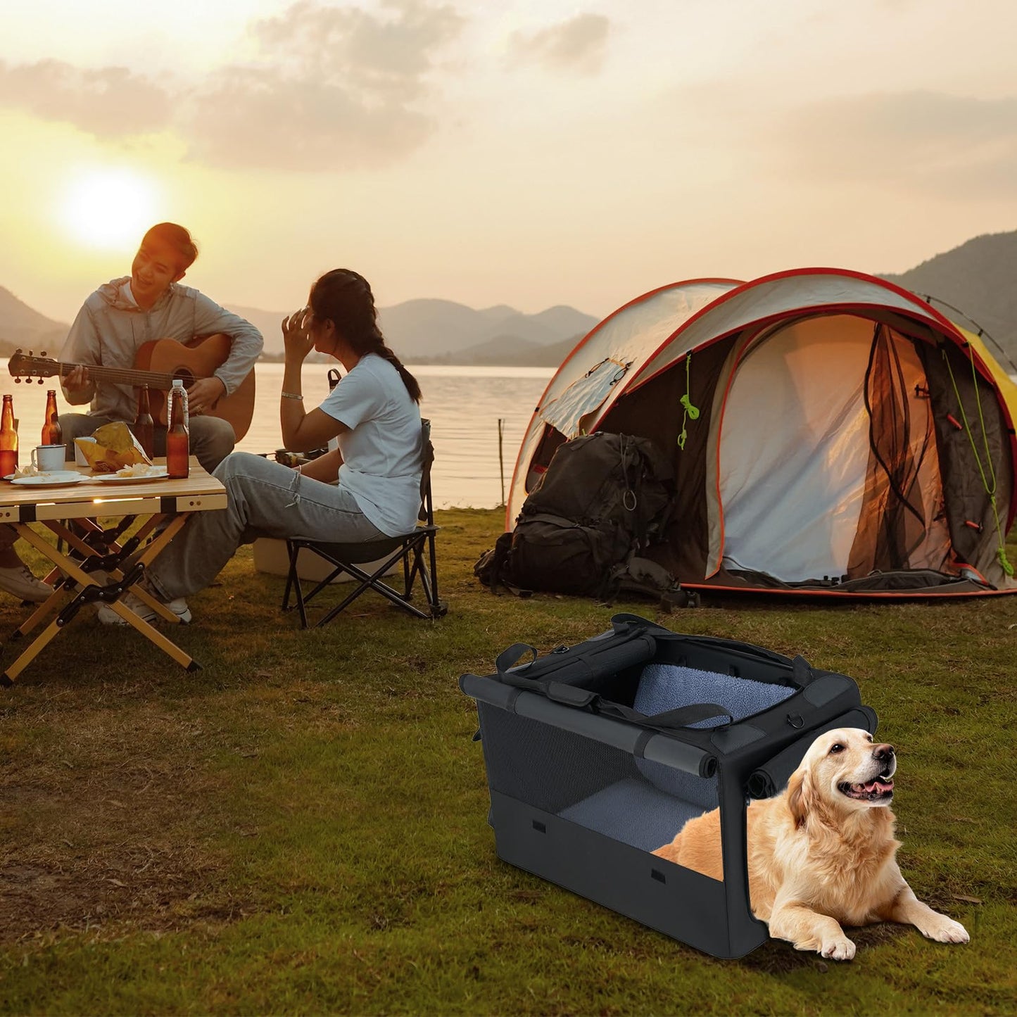 Foldable Pet Carrier Bag with 2 Openings & Expandable Mesh Basket