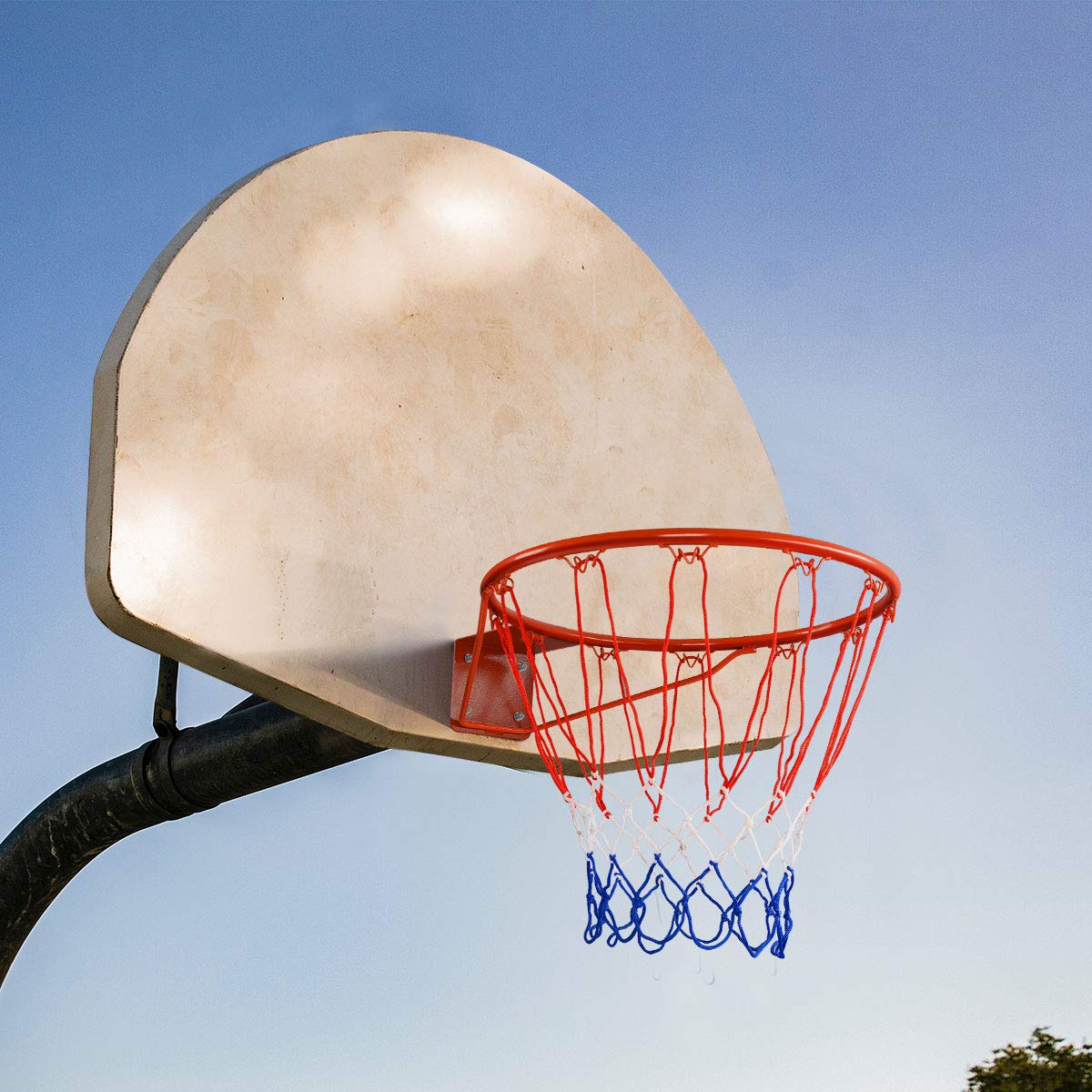 Basketball Hoop Wall Mounted for Kids Adults