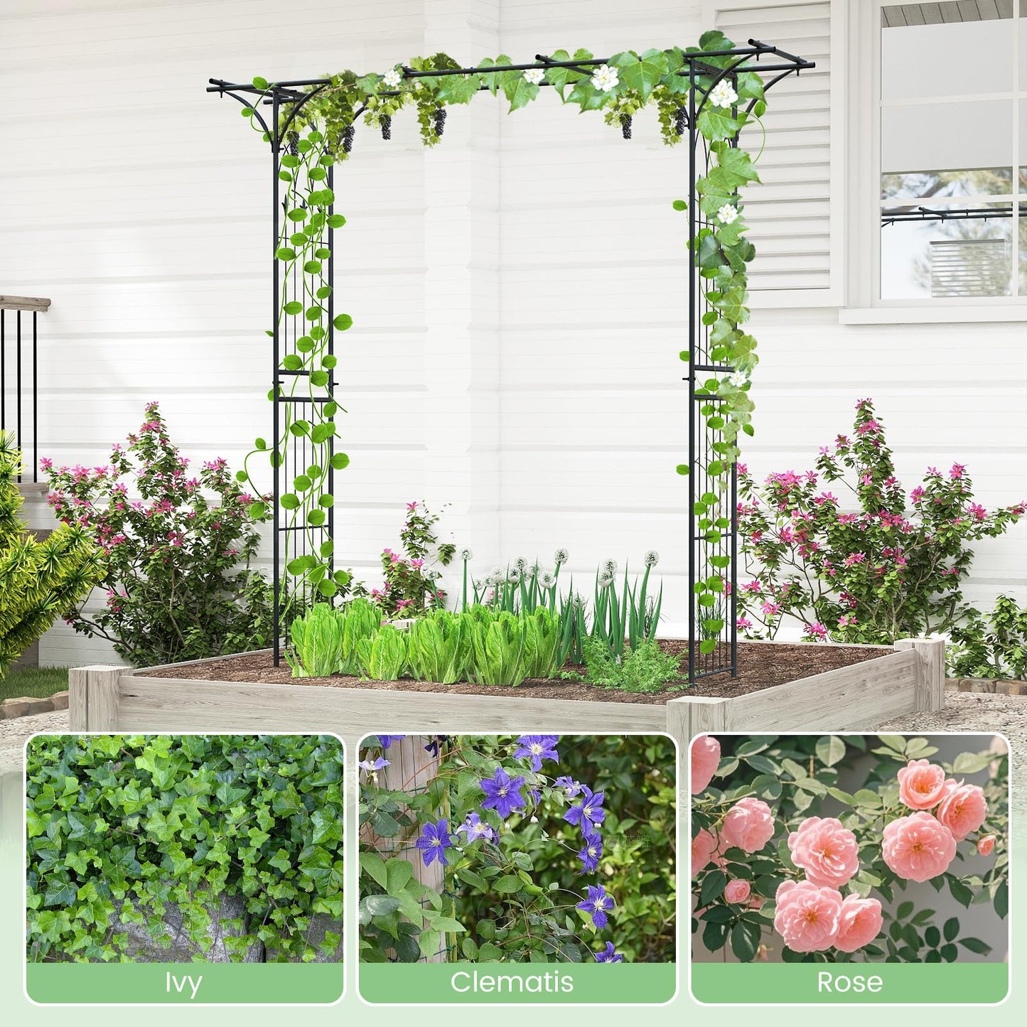 Flat Top Garden Arch with Trellises and Extended Roof for Climbing Plants