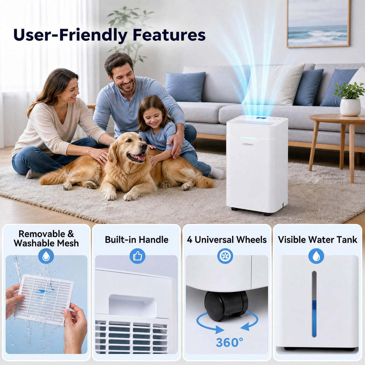 12.5L/Day Dehumidifier, Automatic Humidity Sensor & Display