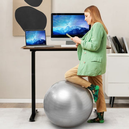 Electric Height Adjustable Standing Desk with Button Controller