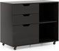 Mobile File Cabinet with 3 Pull-out Drawers and Adjustable Shelf