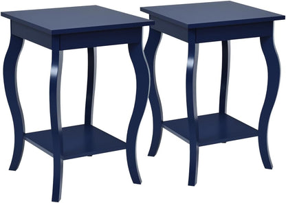 Accent End Table with Elegant Curved Legs and 2-Tier Open Storage Shelves