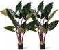 Artificial Rainbow Taro Tree 160cm Tall Fake Pre-potted Plant