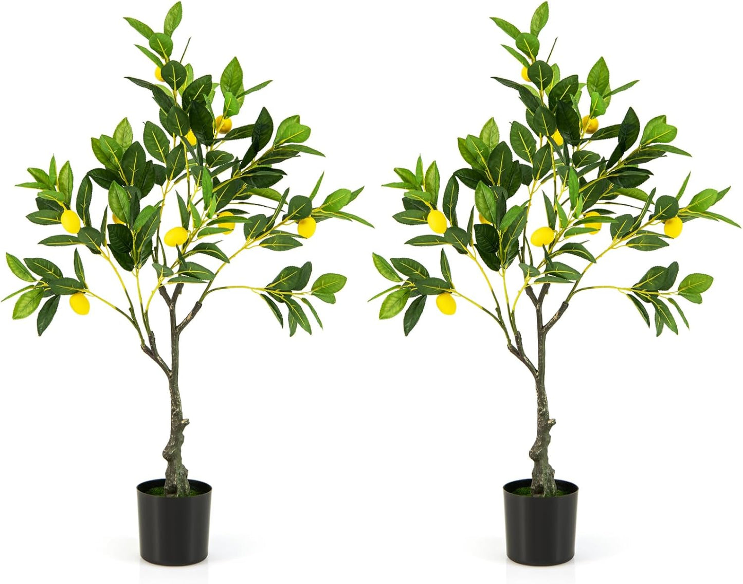 Fake Lemon Plant with Lemon Fruits and Cement Pot