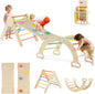 3 in 1 Toddler Climber with Ladder