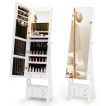 3-Color LED Lighted Jewelry Cabinet