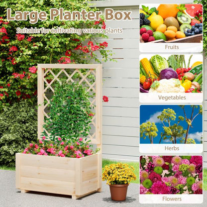 Raised Garden Bed with Lattice Trellis Wooden Elevated Planter Box