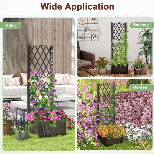 Raised Garden Bed with Trellis and Self-Watering System