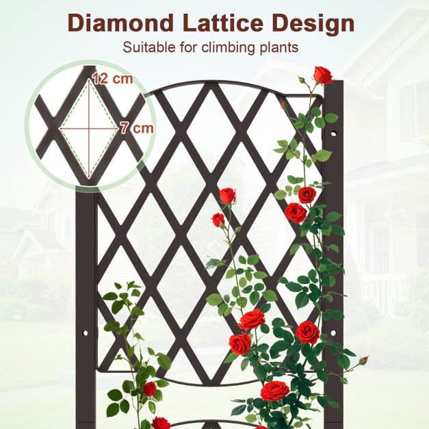 Raised Garden Bed with Trellis and Self-Watering System
