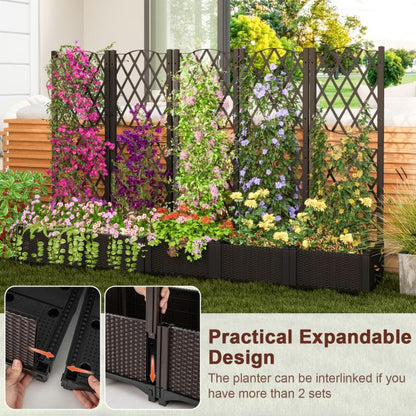 Raised Garden Bed with Trellis and Self-Watering System