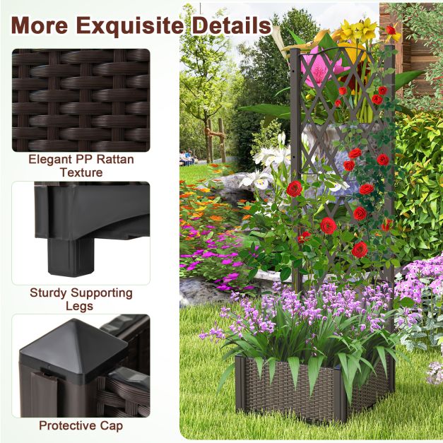 Raised Garden Bed with Trellis and Self-Watering System