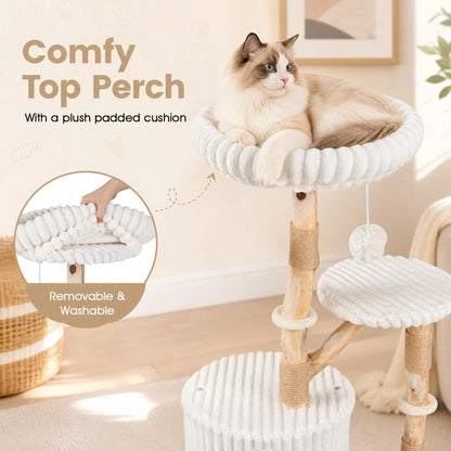 Solid Wood Cat Tree with Real Wood Branches and Scratching Posts for Indoor