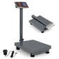 Computing Digital Platform Scale