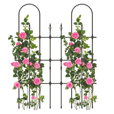 146 cm L x 186 cm H Garden Rose Arch Trellis for Climbing Plants