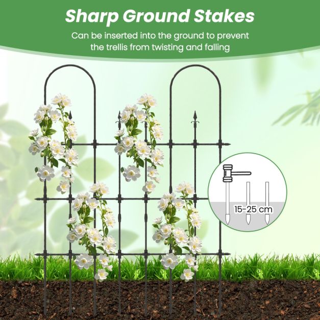 146 cm L x 186 cm H Garden Rose Arch Trellis for Climbing Plants