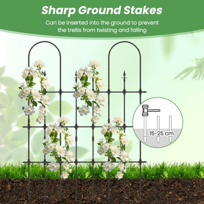 146 cm L x 186 cm H Garden Rose Arch Trellis for Climbing Plants