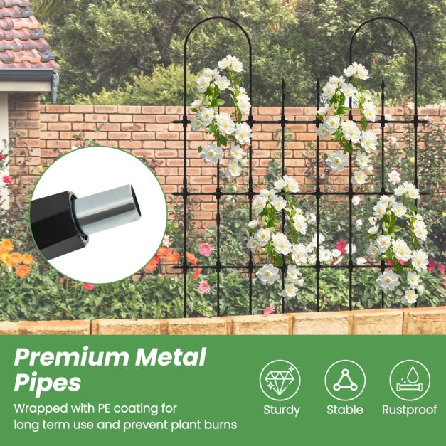 146 cm L x 186 cm H Garden Rose Arch Trellis for Climbing Plants