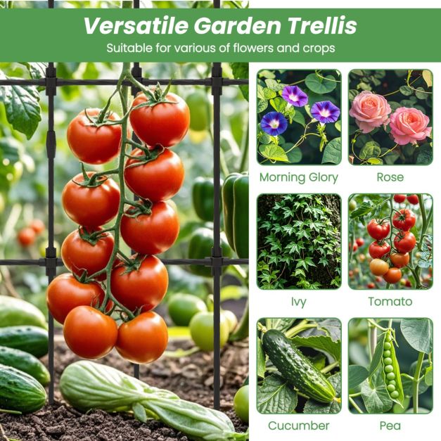 146 cm L x 186 cm H Garden Rose Arch Trellis for Climbing Plants