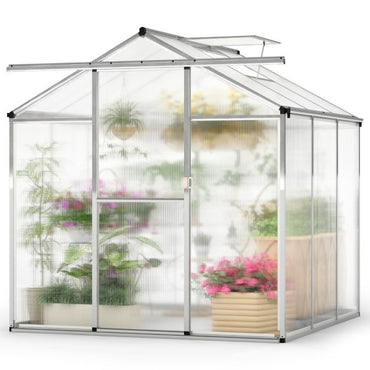 185 x 185 cm/244 x 185 cm Greenhouse Large Walk-in Green House