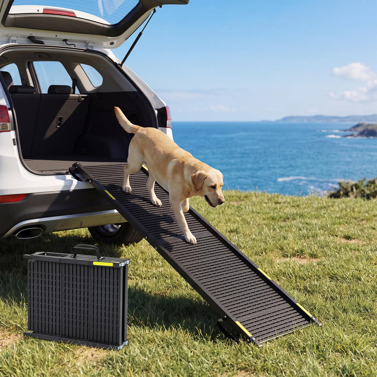 Foldable Dog Ramp, Portable Pet Car Stair with Non-Slip Surface