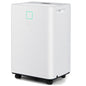 10L/Day Dehumidifier and Electric Dehumidifier with 3 Modes