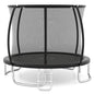 10ft Trampoline, Outdoor Rebounder Trampoline with Safety Enclosure Net and Ladder