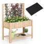 2 Tier Raised Garden Bed with Trellis for Climbing Plants Vines Fruit