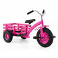 Kids Tricycle ( 121 x 57 x 68-77cm, with Storage Basket) | Carbon Steel Toddler Trike with Inflatable Rubber Tires