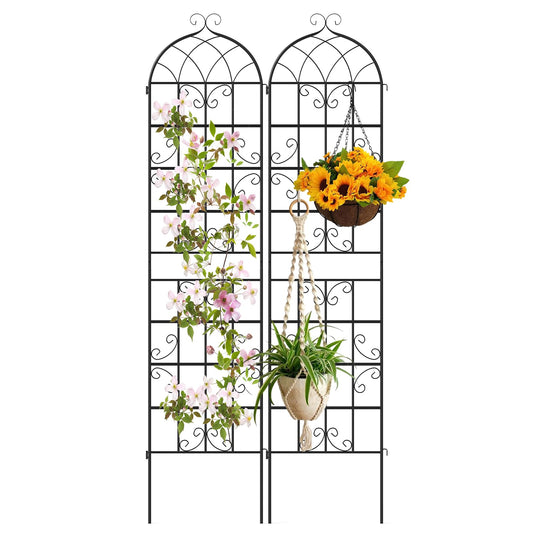 Metal Trellis for Climbing Plants Rose Vines Tomato