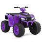 24V Battery Powered Ride on ATV with Soft Start