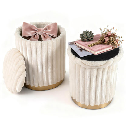 Modern Ottoman Set of 2 with Detachable Lids and Hidden Storage Space