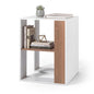 Sofa Side Table, 2-Tier Square End Table with Storage Shelf