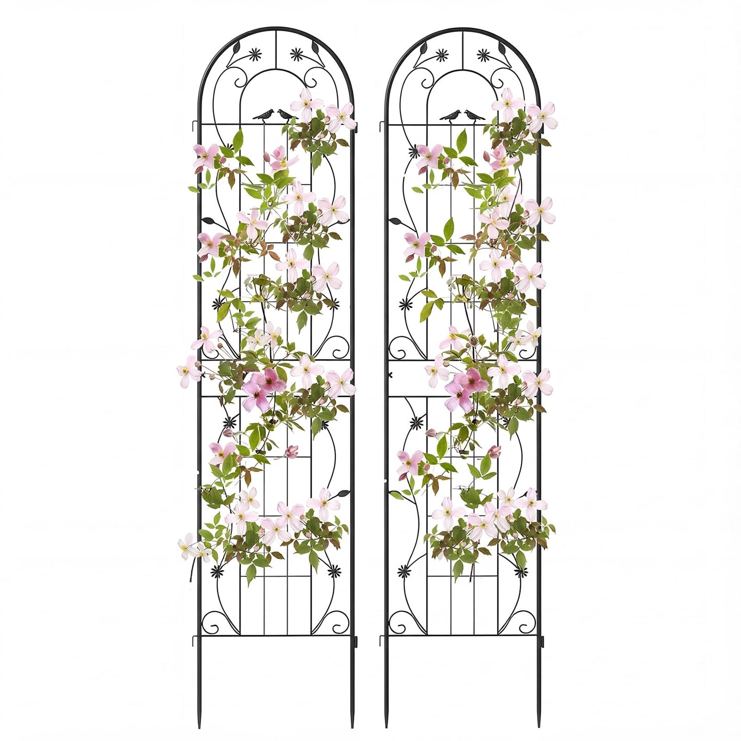 2/4 Pack Garden Trellis, 180/220 x 50cm Galvanized Steel Trellis for Climbing Plants