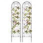 2/4 Pack Garden Trellis, 180/220 x 50cm Galvanized Steel Trellis for Climbing Plants