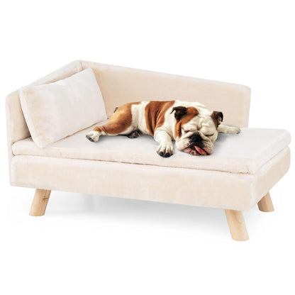 Elevated Pet Bed for Medium and Small Dogs Puppies Cats Kittens