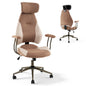 Ergonomic Office Chair, High Back Computer Desk Chair with 2D Headrest