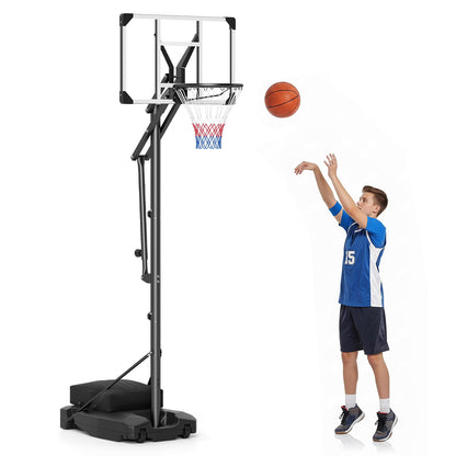 10FT Basketball Hoop and Stand for Kids and Adult