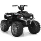 12v Electric Kids Ride On ATV / Quad Bike